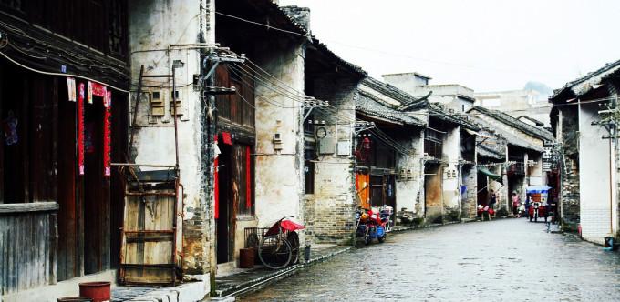 漂亮鹦鹉救援